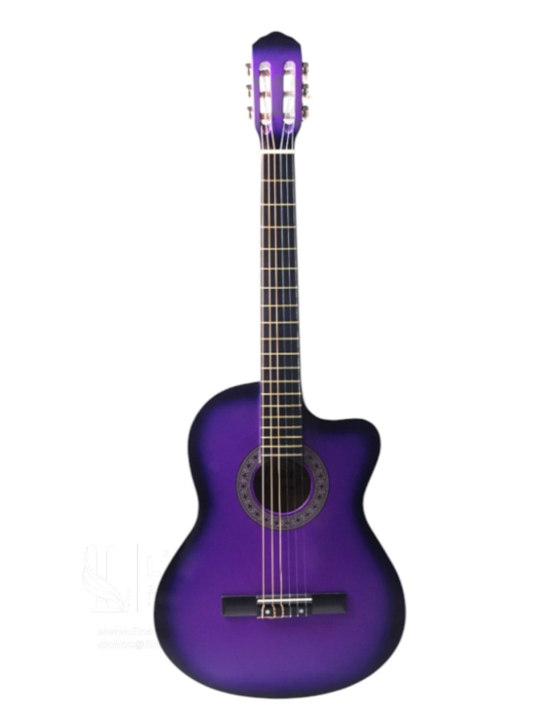 CG-3901PRS Klasik Gitar 4/4 Sap Ayarlı Kesik Kasa Full Set 2