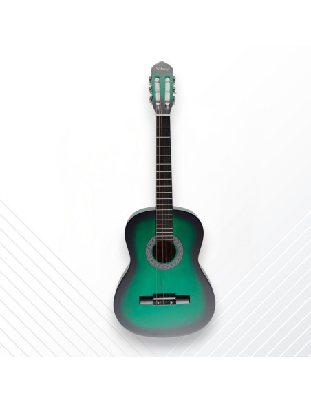 4/4 SİDNEY KLASİK GİTAR MAT SD-3900GRBM